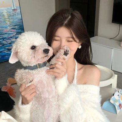 狐狸猎手队